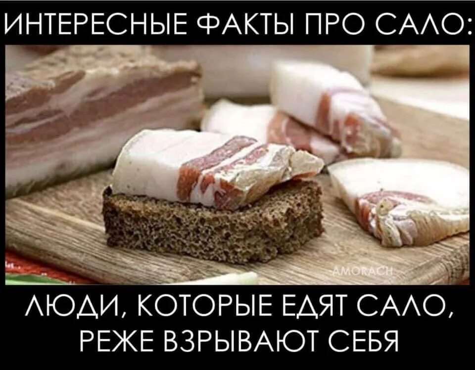 Сало картинки прикольные