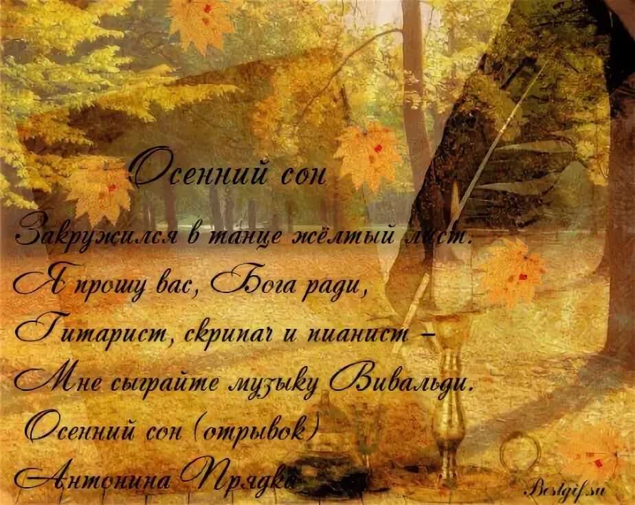 Стих про очень красивую. Стихи про осень. Картинки со стихами про осень красивые. Стихи про осень красивые. Открытки про осень со стихами.