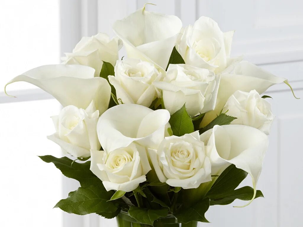 Белые розы открытки красивые с днем рождения 14