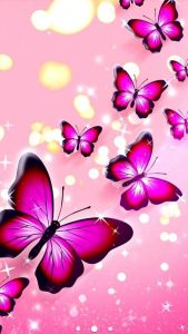 Картинки бабочки на телефон красивые 27