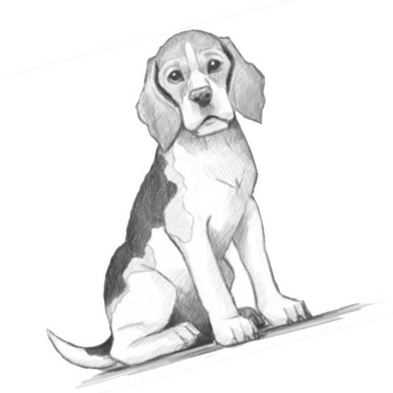 Картинки для срисовки собак карандашом 32