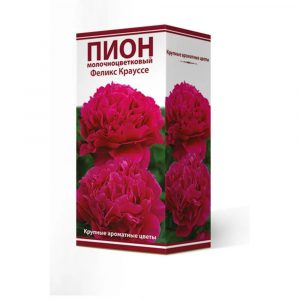 Пион феликс краусс 9