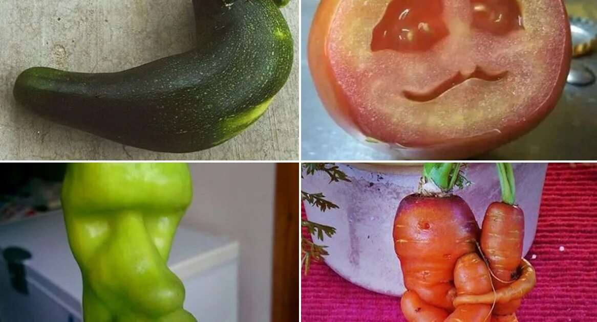 Прикольные и смешные картинки про овощи 21