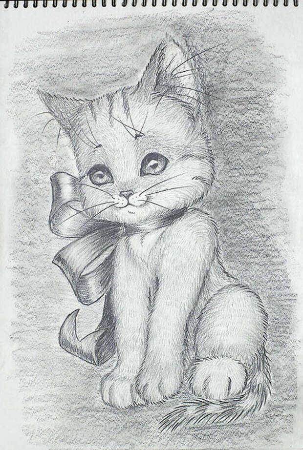 Рисунки карандашом для срисовки коты 19