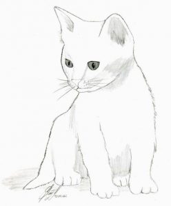 Рисунки карандашом для срисовки коты 21
