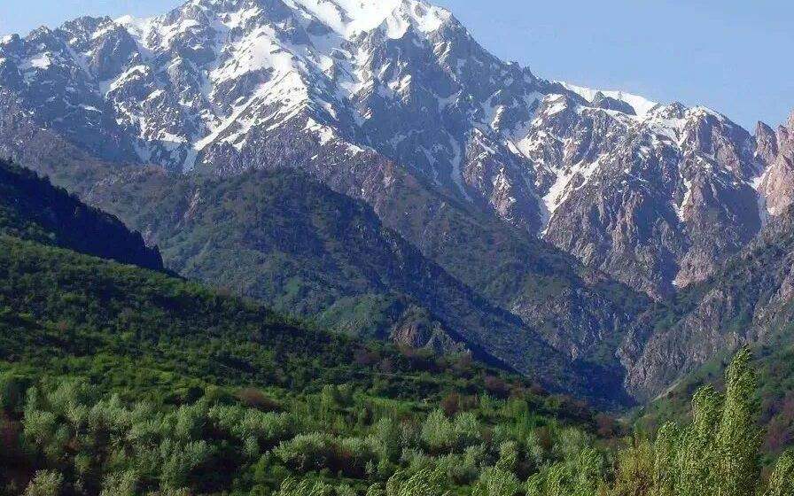 Ташкент чимганские горы 7