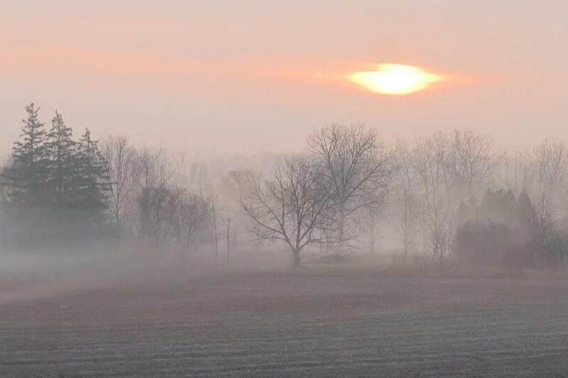 Утреннее поле в тумане 16