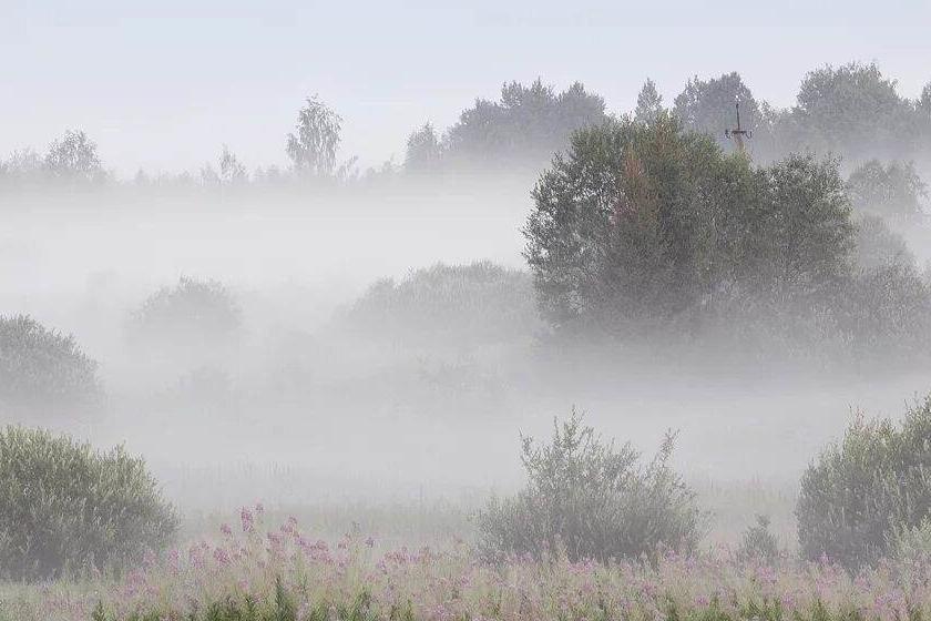 Утреннее поле в тумане 35