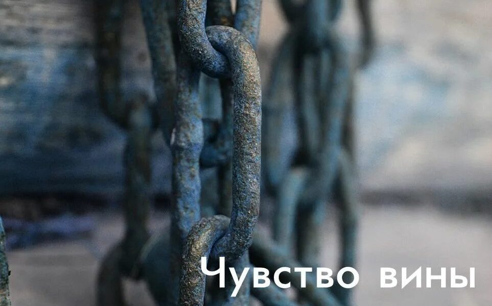 Чувство вины   прикольные картинки 9