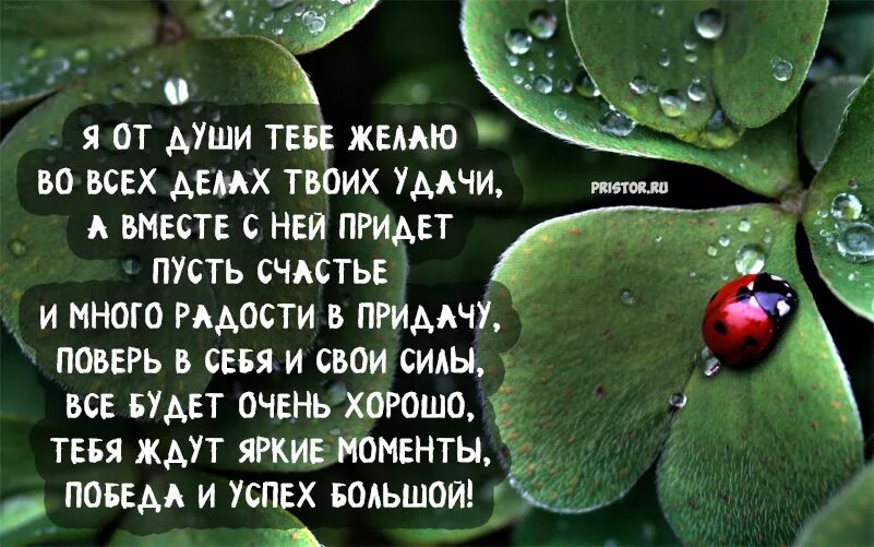 Желаю успеха в жизни. Пожелание удачи. Пожелания удачи и успеха. Успехов в работе пожелания. Открытки с пожеланием удачи и успеха.