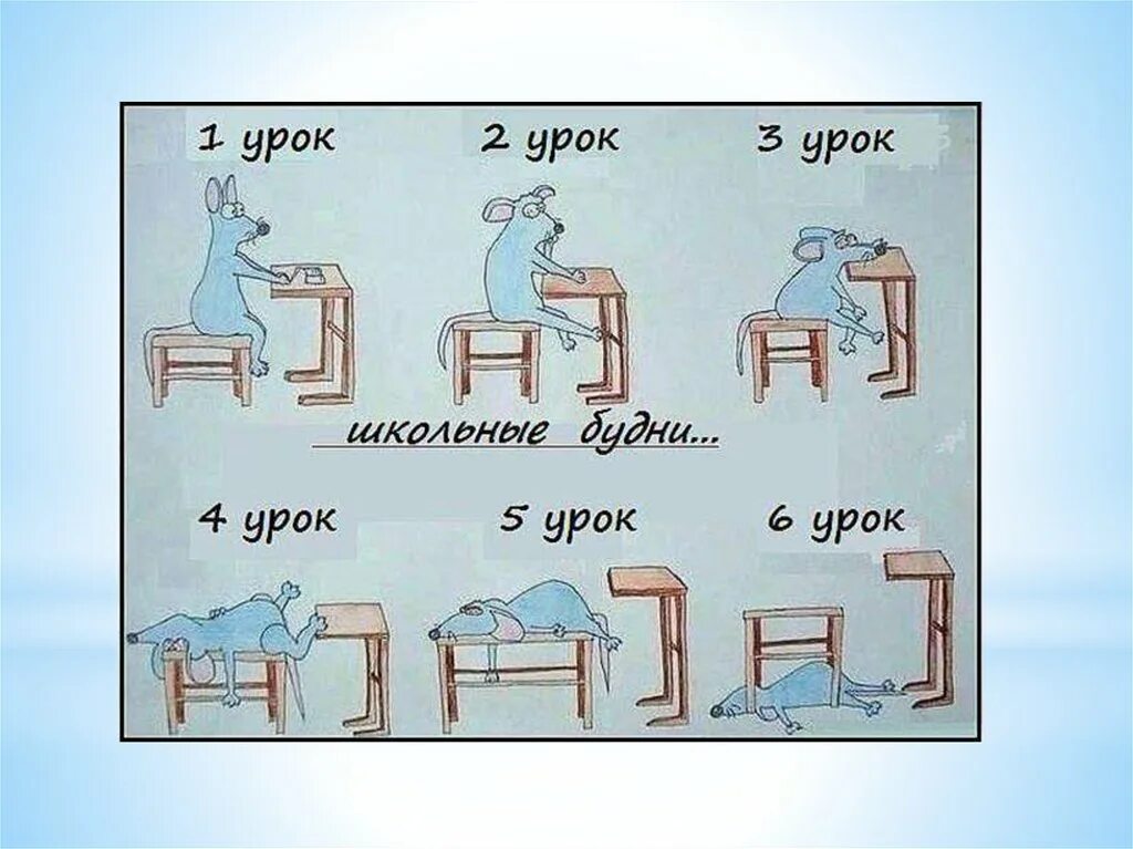 Студент смешно. Шутки про учебу. Приколы про студентов. Прикольные шутки про студентов. Анекдоты про учебу.