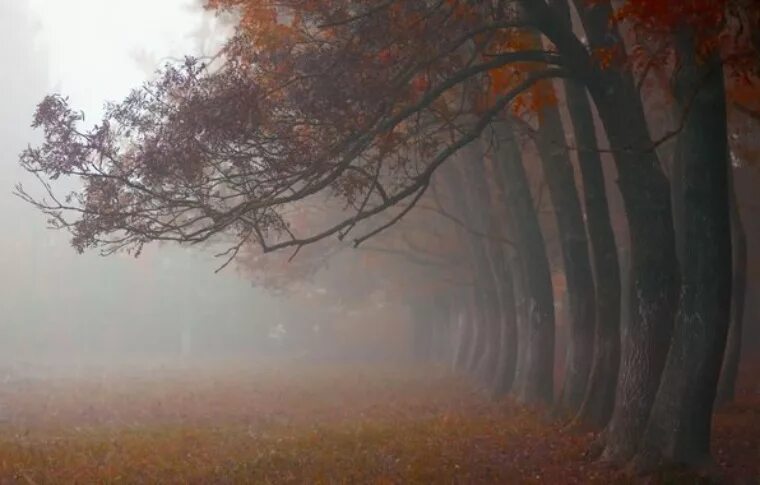 Картинки Осенний туман 16