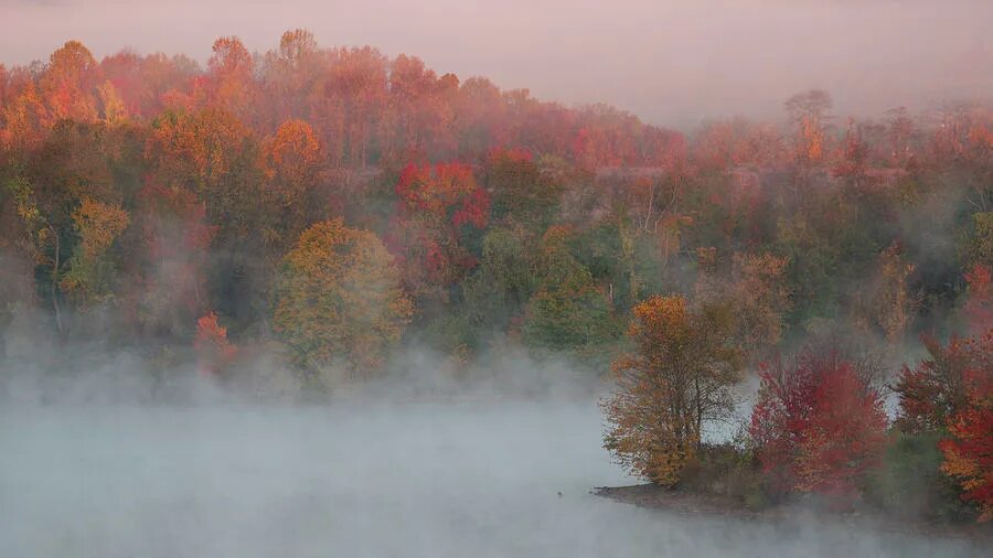 Картинки Осенний туман 2
