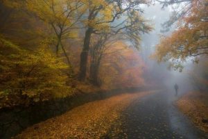 Картинки Осенний туман 9