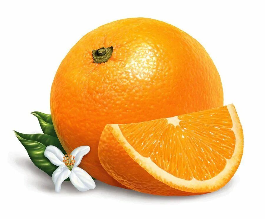 Апельсин картинка для детей на прозрачном фоне. Апельсин. Апельсин для детей. Апельсин на прозрачном фоне. Белый апельсин.
