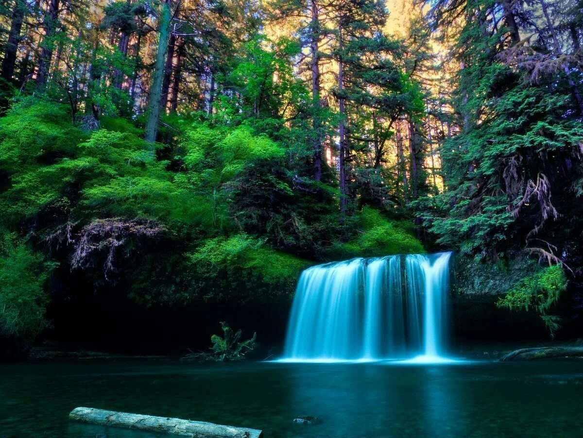 Картинки природа на телефон андроид. Обои на андроид природа. Красивый водопад на телефон. Фото на андроид природа. Заставки на телефон красивые природа.
