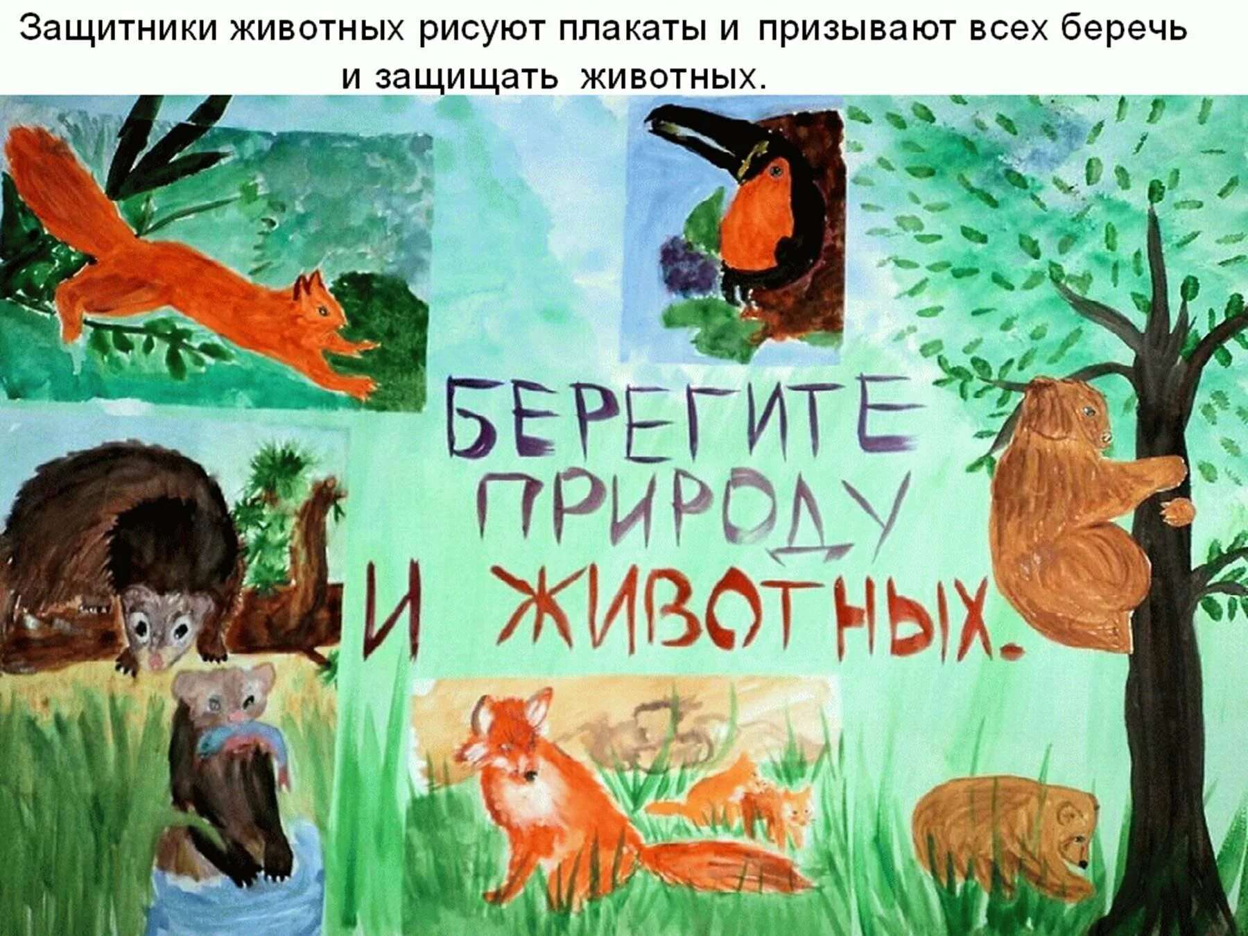 Плакат на тему Берегите животных 19