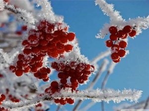 Красивые картинки природа и зима на Айфон 9