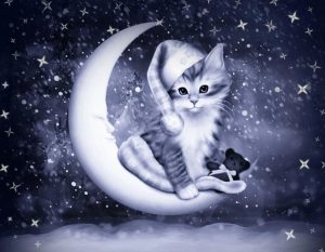Милые открытки с кошками спокойной ночи 9