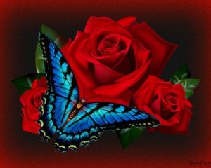 Бабочка и красные розы   прикольные картинки 9