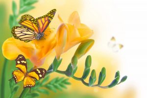 Бабочка и розы на желтом фоне   прикольные картинки 9
