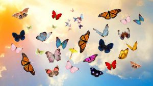 Бабочка летает над голубыми цветами   прикольные картинки 9
