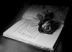 Белая роза на обложке книги   интересные картинки 9
