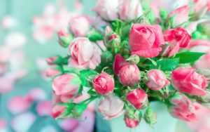 Букет роз на красочном фоне   лучшие картинки 9