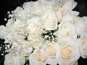Букет розовых и белых роз   лучшие картинки 9