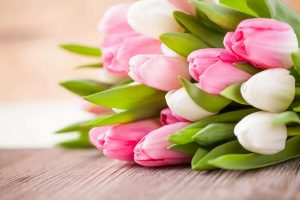 Букет розовых тюльпанов   лучшие картинки 9