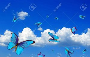 В воздухе летает синяя бабочка   лучшие картинки 9