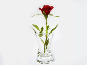Ваза, наполненная красными и белыми розами   картинка 9