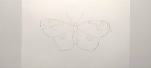 Как нарисовать бабочку, простые шаги   прикольные картинки 9