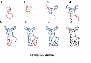 Как нарисовать оленя   картинки и рисунки 9