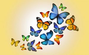 Набор бабочек на прозрачном фоне   интересные картинки 9