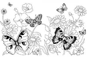 Рисунок бабочек и цветов   интересные картинки 9