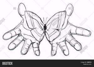 Рисунок бабочки на руке   интересные картинки 9